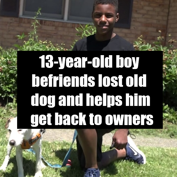 13-year-old boy befriends lost old dog and helps him get back to owners