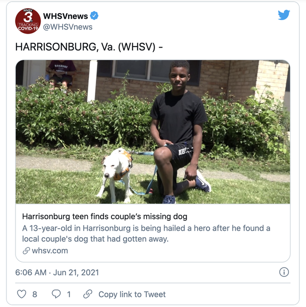 13-year-old boy befriends lost old dog and helps him get back to owners - picture 2