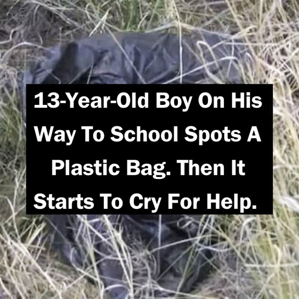 13-Year-Old Boy On His Way To School Spots A Plastic Bag. Then It Starts To Cry For Help.