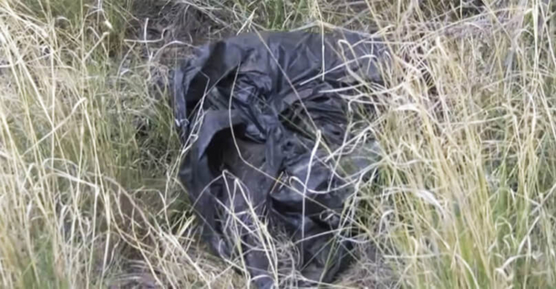 13-Year-Old Boy On His Way To School Spots A Plastic Bag. Then It Starts To Cry For Help. - picture 2