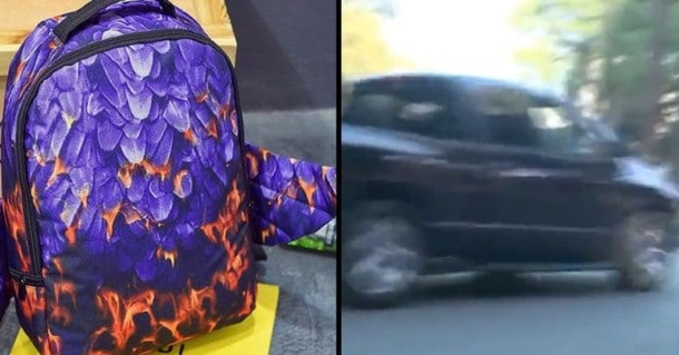 13-Year-Old Girl Almost Kidnapped By Man In Black Van, Her Quick Thinking Has Him Running Away - picture 2