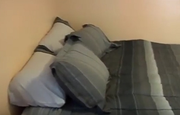 13-Year-Old Says He Wants To Run Away From Home, Then Tells A Cop To Look Inside His Bedroom - picture 5