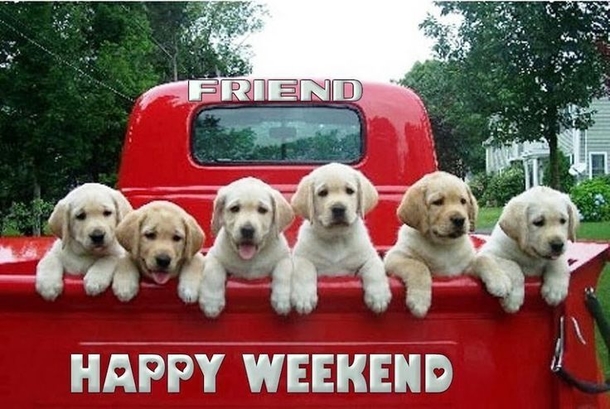 14 Happy Weekend Quotes To Enjoy - picture 2