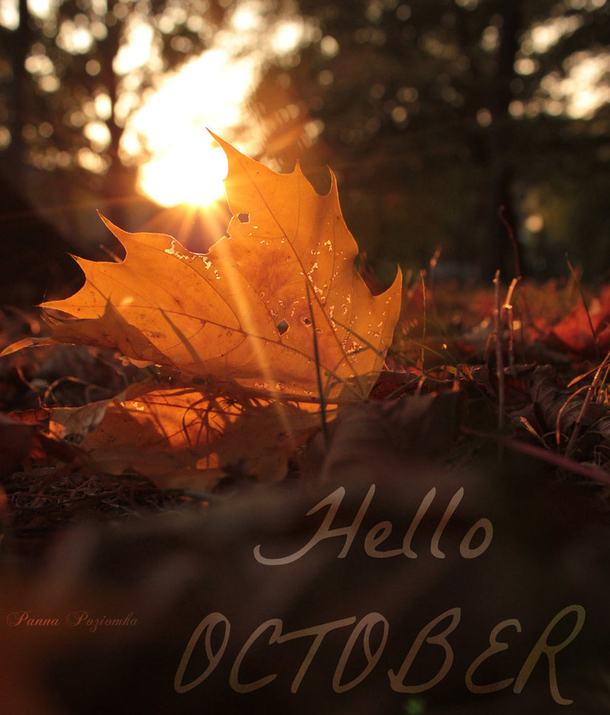 14 Hello October Quotes - picture 3
