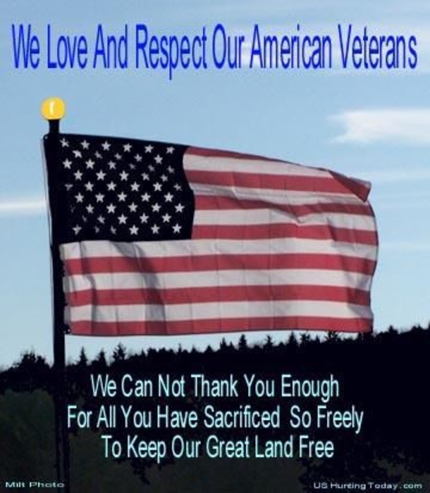 14 Veterans Day Quotes - picture 7