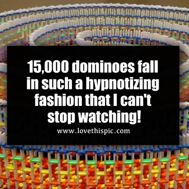 15,000 dominoes fall in such a hypnotizing fashion that I can't stop watching!