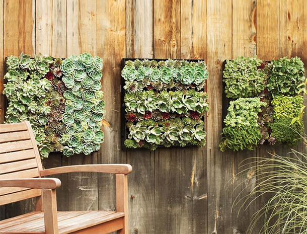 15 Backyard Fences That Take Backyards To A Whole New Level. #8 Is Just Amazing. - picture 10