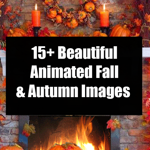 15+ Beautiful Animated Fall & Autumn Images