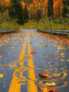 15+ Beautiful Animated Fall & Autumn Images - picture 10