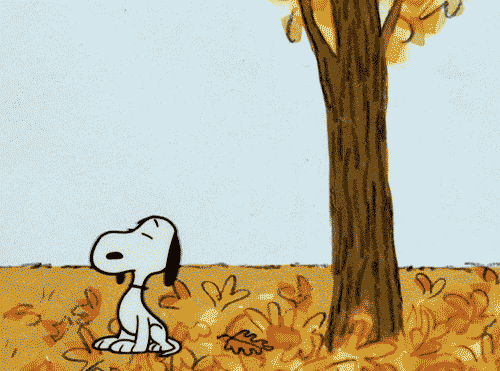 15+ Beautiful Animated Fall & Autumn Images - picture 2