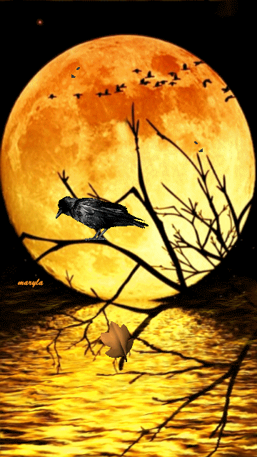 15+ Beautiful Animated Fall & Autumn Images - picture 8