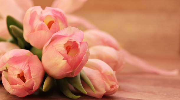 15 Beautiful Flower Photography Images - picture 6