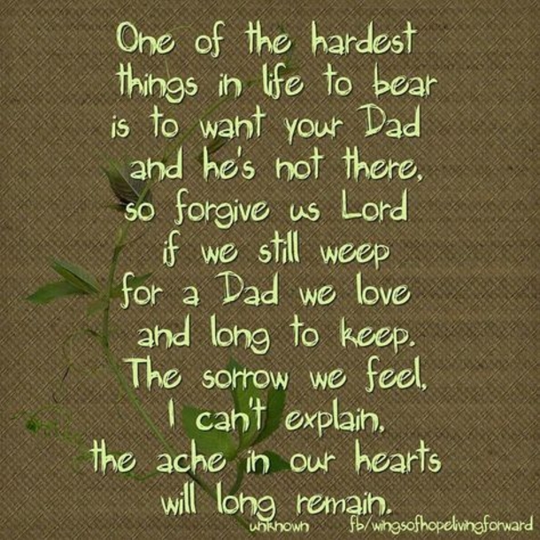 15+ Beautiful Quotes About Missing Your Father - picture 2