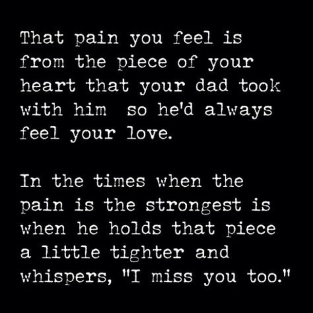 15+ Beautiful Quotes About Missing Your Father - picture 9