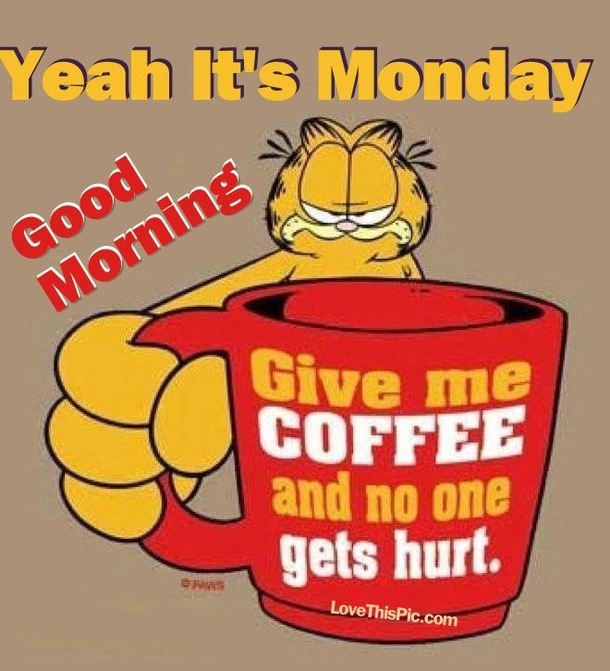 15 Best Good Morning Happy Monday Quotes - picture 12