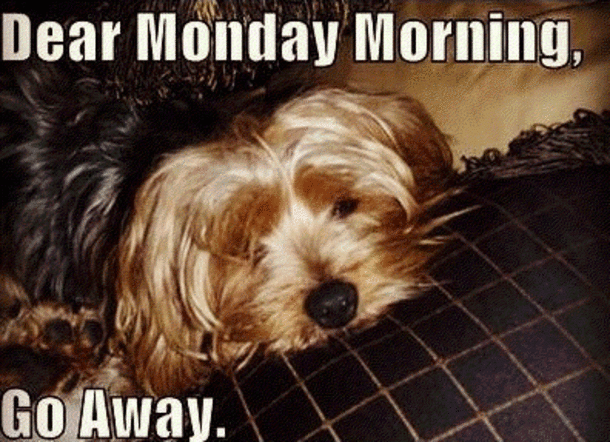 15 Best Good Morning Happy Monday Quotes - picture 16