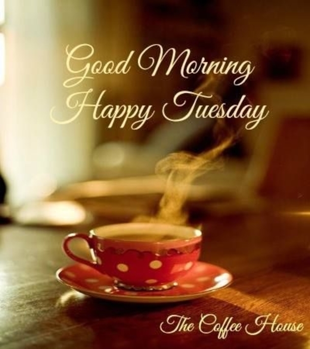 15 Best Good Morning Happy Tuesday Quotes - picture 12