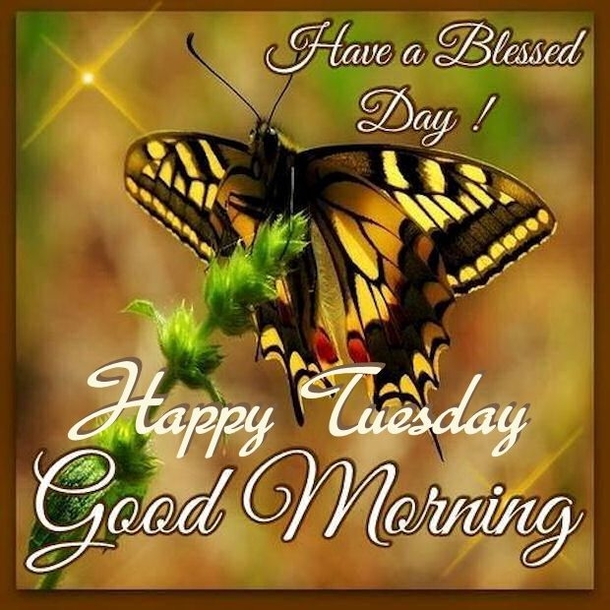 15 Best Good Morning Happy Tuesday Quotes - picture 13