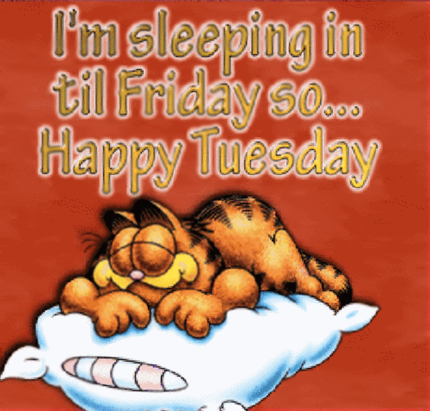 15 Best Good Morning Happy Tuesday Quotes - picture 2