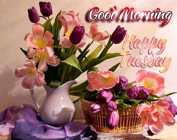 15 Best Good Morning Happy Tuesday Quotes - picture 4
