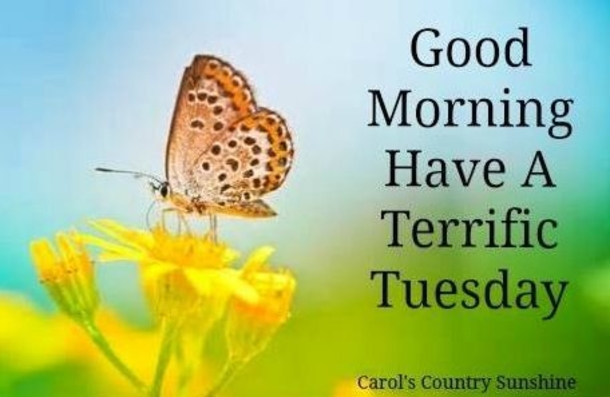 15 Best Good Morning Happy Tuesday Quotes - picture 7