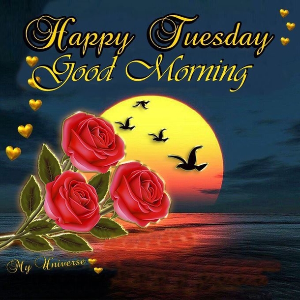 15 Best Good Morning Happy Tuesday Quotes - picture 9