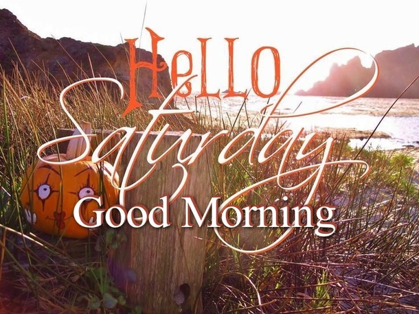 15 Best Saturday Quotes & Sayings - picture 11