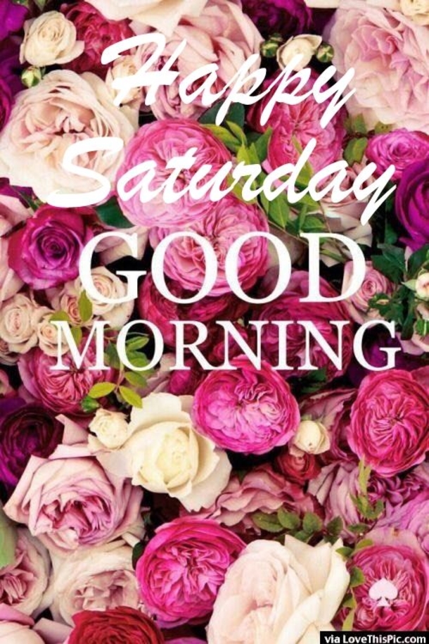 15 Best Saturday Quotes & Sayings - picture 13