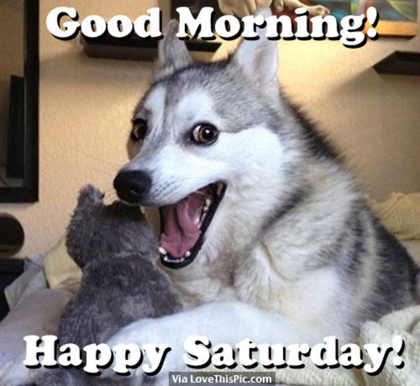 15 Best Saturday Quotes & Sayings - picture 16