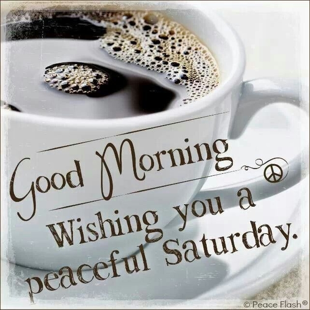 15 Best Saturday Quotes & Sayings - picture 6