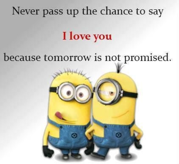 15 Brand New Funny Minion Quotes For The Day - picture 13