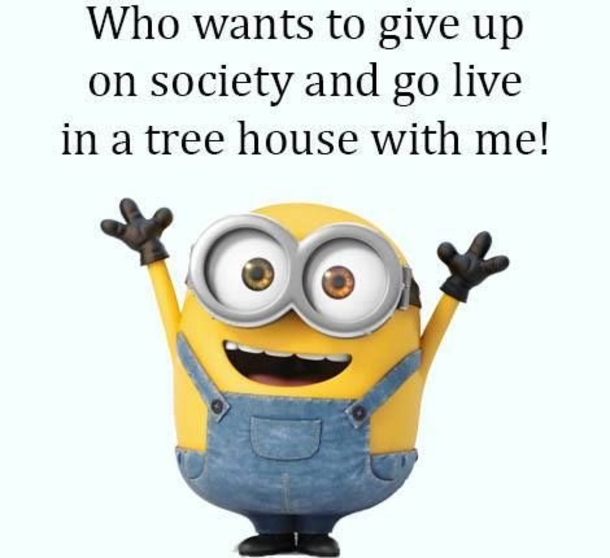 15 Brand New Funny Minion Quotes For The Day - picture 16