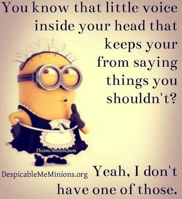 15 Brand New Funny Minion Quotes For The Day - picture 7