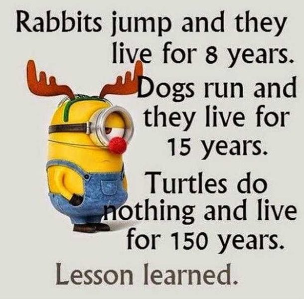 15 Brand New Funny Minion Quotes For The Day - picture 9