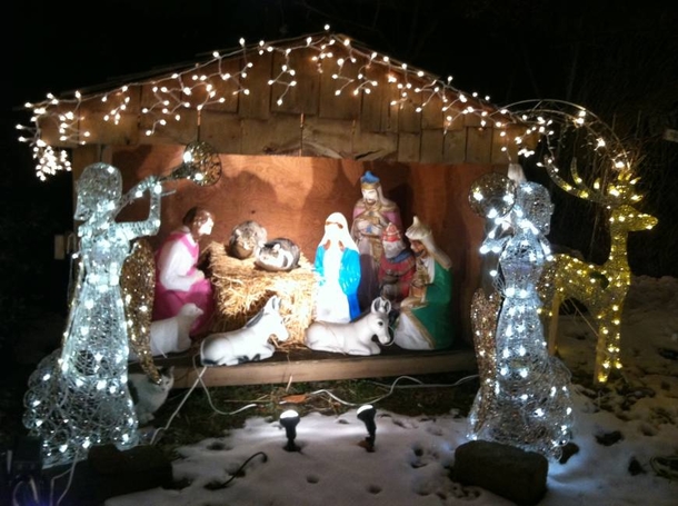 15 Cats Who Crashed The Nativity Scene - picture 16