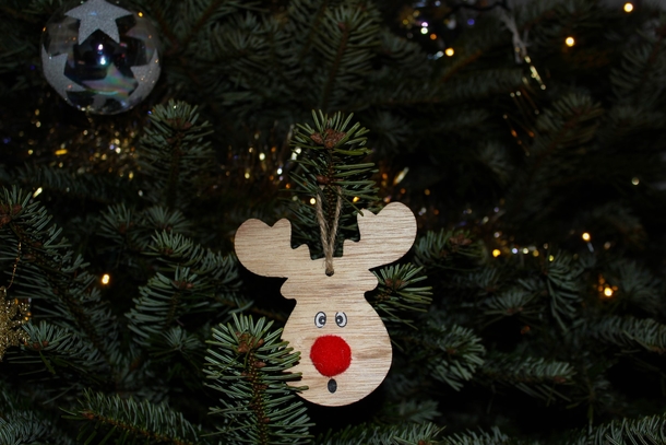 15+ Creatively Made Christmas Ornaments - picture 10
