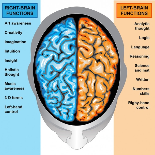 15 Facts About Left Handed People. I Bet You Didn't Know #6... - picture 3