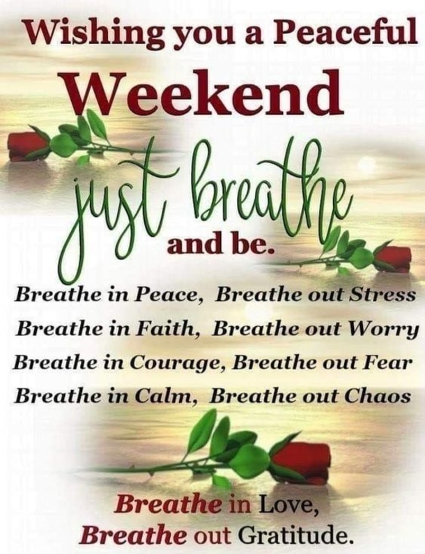 15 Fun Weekend Quotes That You Will Love! - picture 9