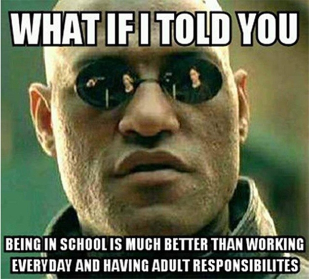 15 Funny Internet Memes That Will Make Your Lose It - picture 16