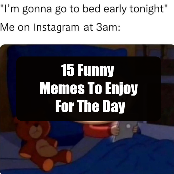 15 Funny Memes To Enjoy For The Day