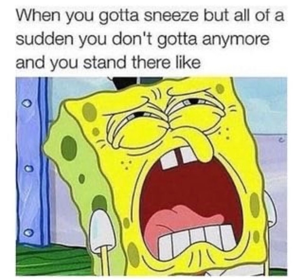 15 Funny Memes To Enjoy For The Day - picture 6