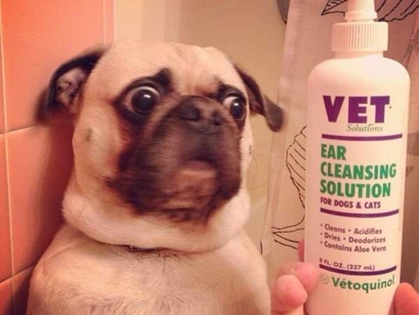 15 Funny Pictures In Reddit History - picture 3