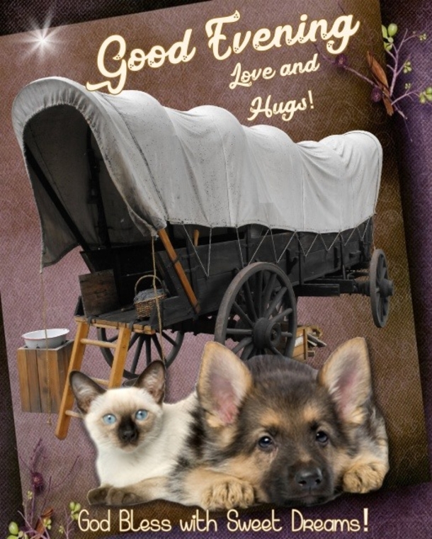 15 Good Evening Messages To Make Your Night Feel Warm And Blessed - picture 10