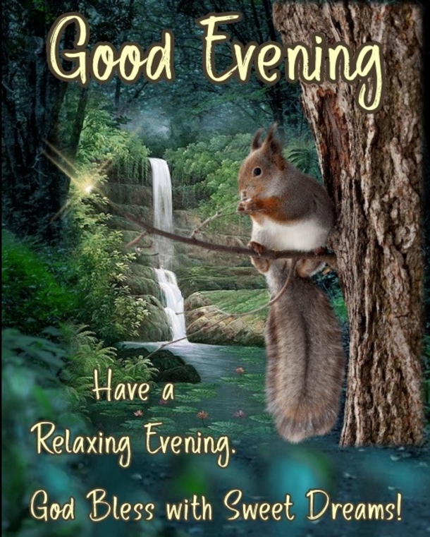 15 Good Evening Messages To Make Your Night Feel Warm And Blessed - picture 11