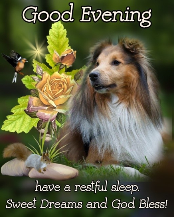 15 Good Evening Messages To Make Your Night Feel Warm And Blessed - picture 12