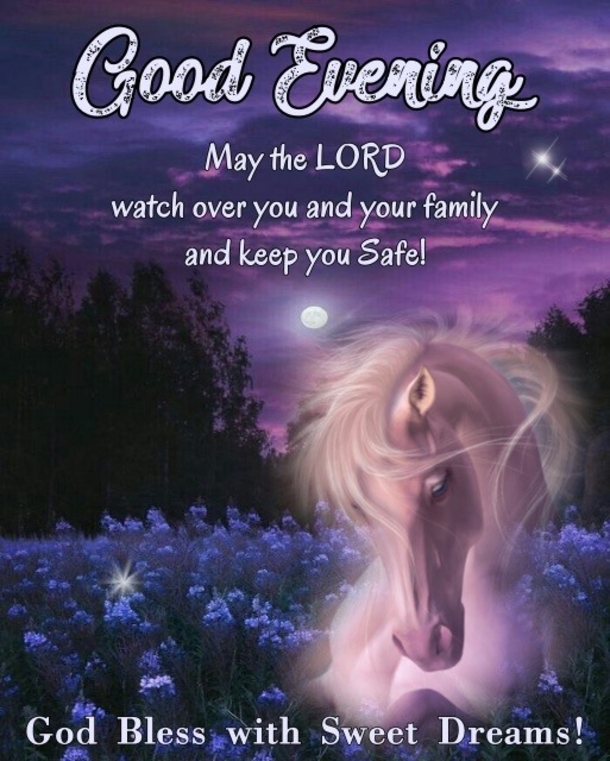 15 Good Evening Messages To Make Your Night Feel Warm And Blessed - picture 14