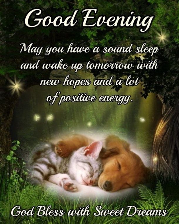 15 Good Evening Messages To Make Your Night Feel Warm And Blessed - picture 16
