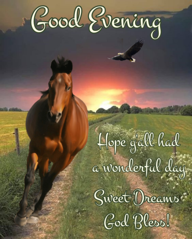 15 Good Evening Messages To Make Your Night Feel Warm And Blessed - picture 2