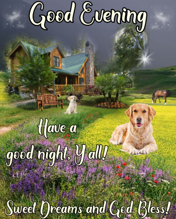 15 Good Evening Messages To Make Your Night Feel Warm And Blessed - picture 5
