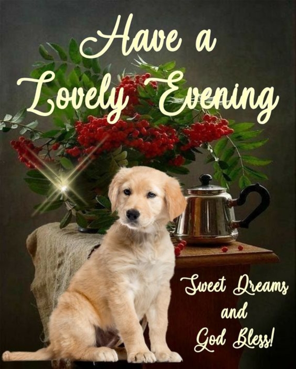 15 Good Evening Quote Ideas In 2023 To Bring You Rest & Peace - picture 7